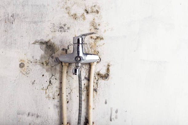Best Water Damage Restoration  in Sturgeon, PA