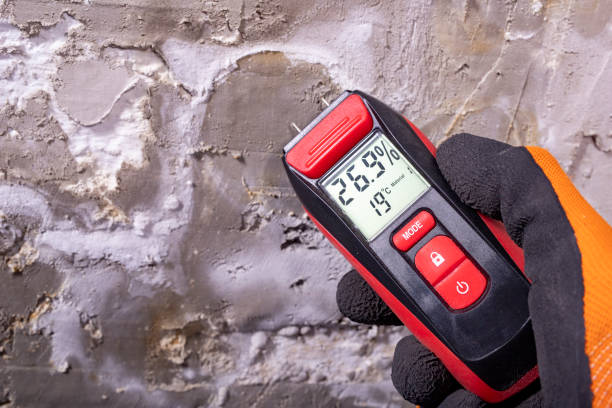 Best Office Mold Removal Services  in Sturgeon, PA